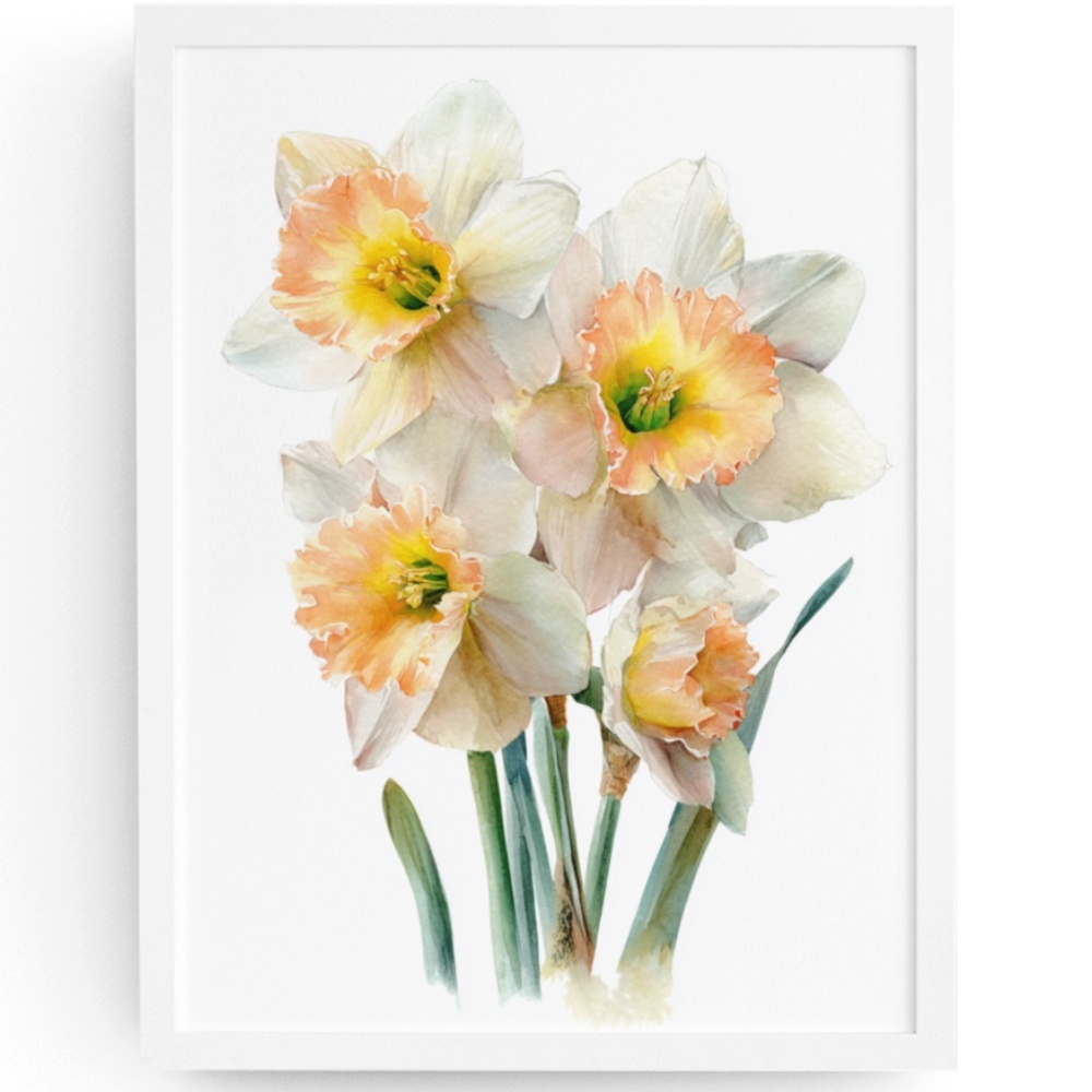Watercolor Daffodils Flowers Wall Art Illustration Print Poster Unframed